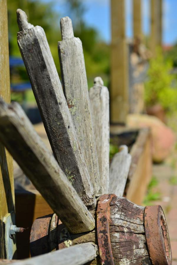 Ferienwohnung Milow Polchow エクステリア 写真